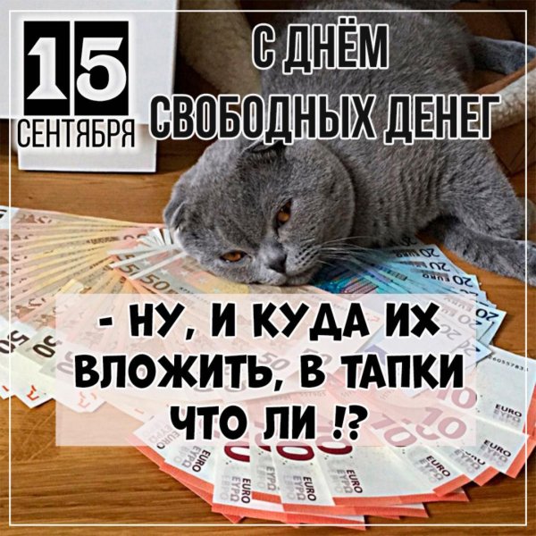денежный кот