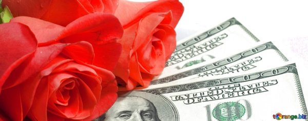 цветок доллар