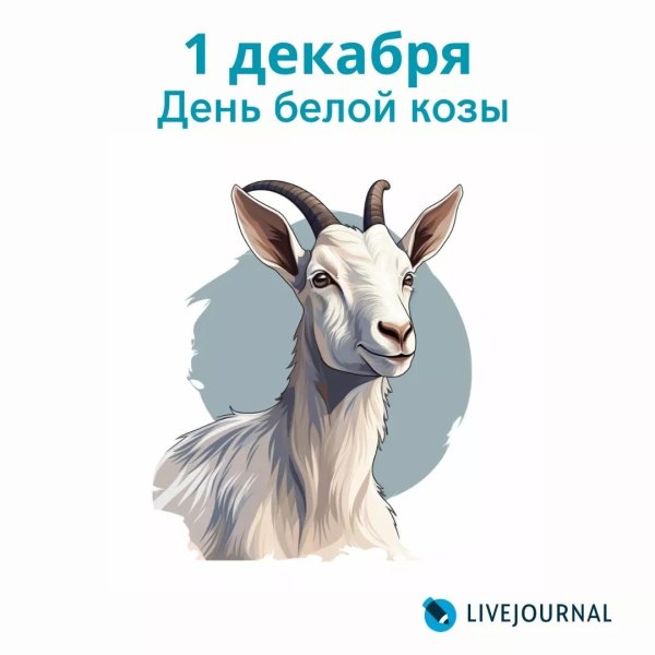День белой козы