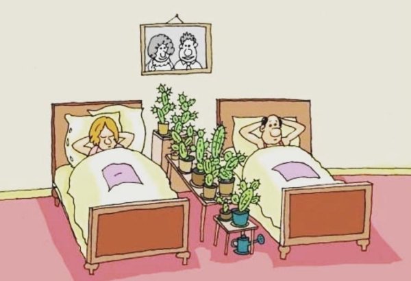 картина для спальни прикольная