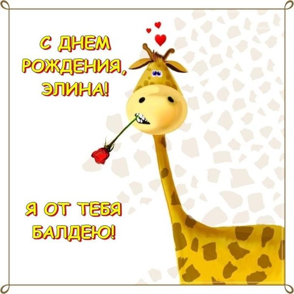 жираф с днем рождения