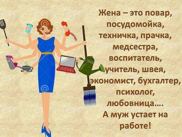 муж домохозяйка