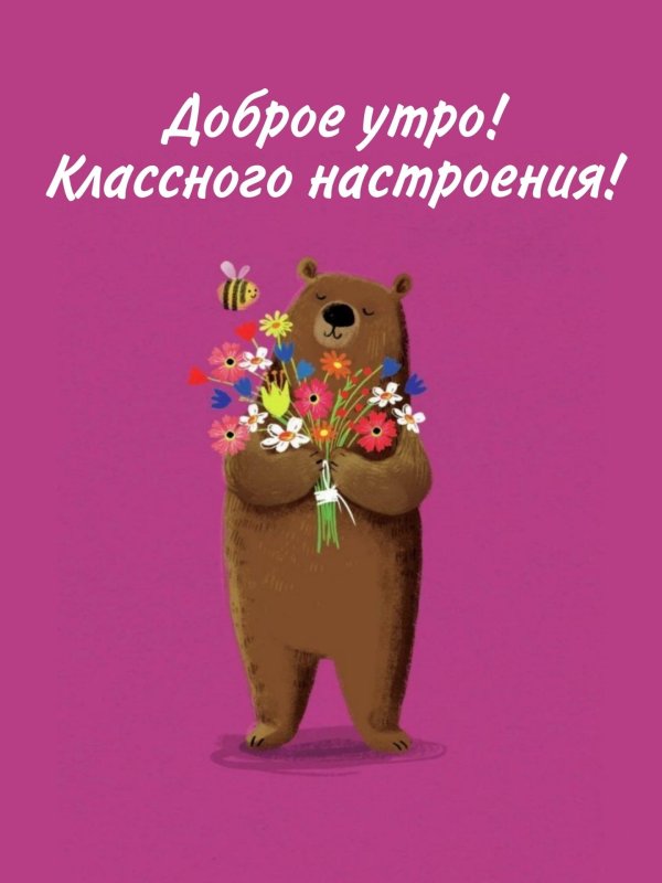 доброе утро медвежата