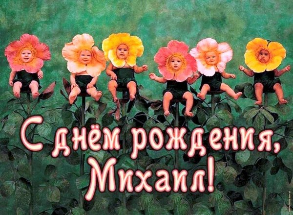 поздравление с днём рождения михаила прикольные