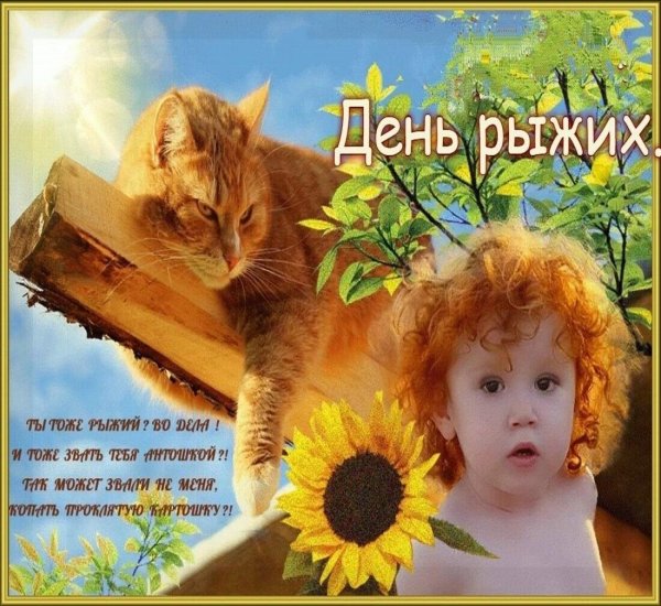 с днем рыжих