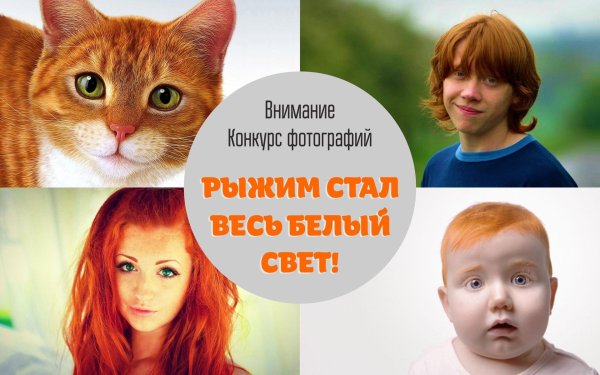 девушки рыжие