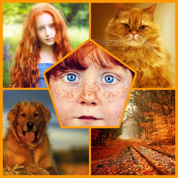 с днем рыжих