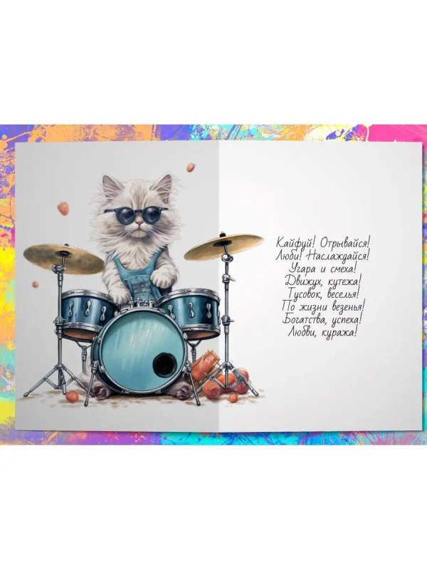 котик барабанщик