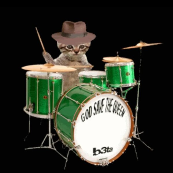 кот на барабанах