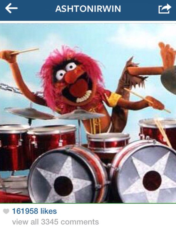 маппеты барабанщик