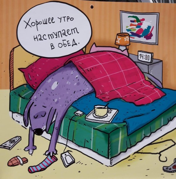 Хватит спать