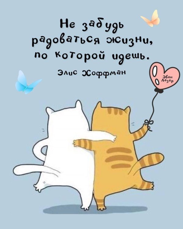 рисованные коты