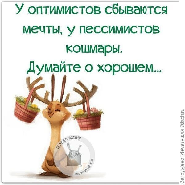 высказывания про оптимистов