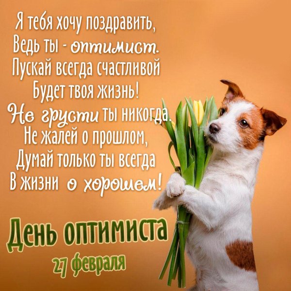 джек рассел терьер