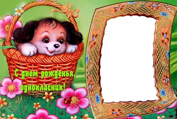 На день рождения однокласснику