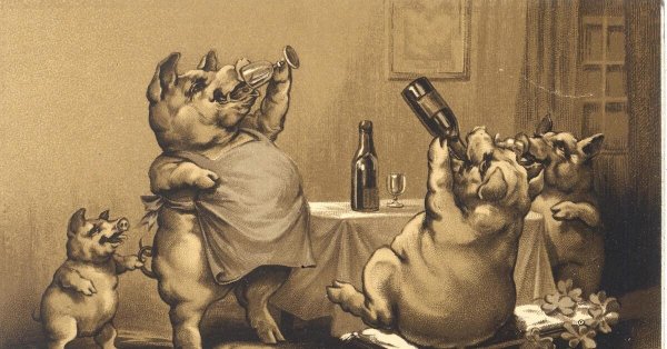 пьяный поросенок