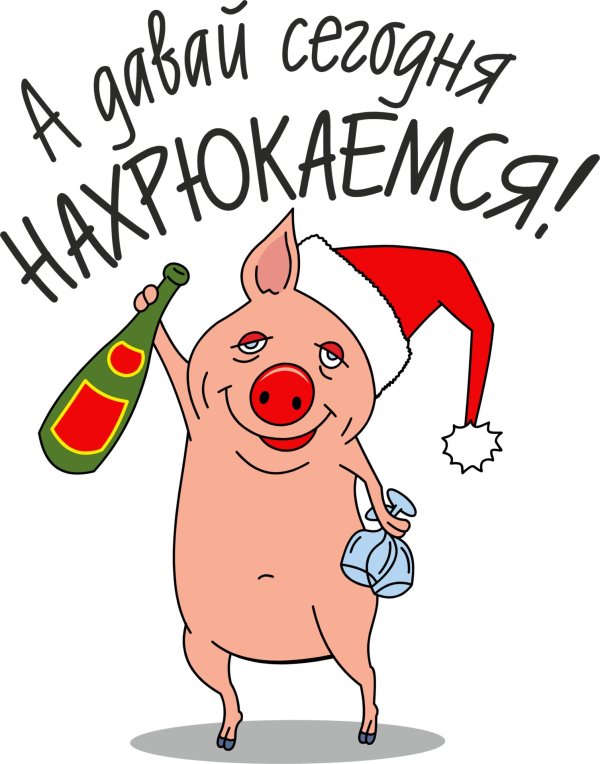 в год свиньи