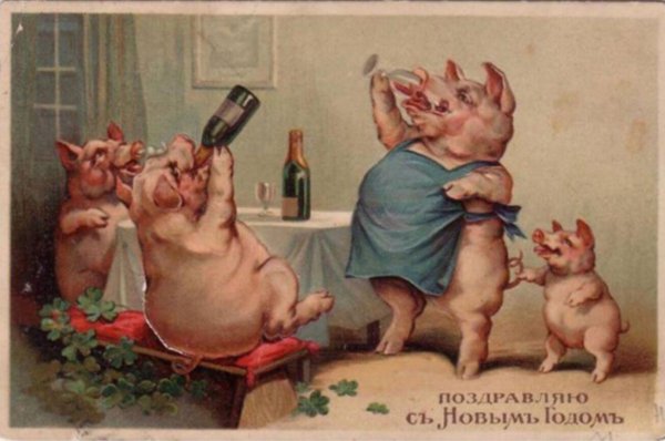 пьяный поросенок
