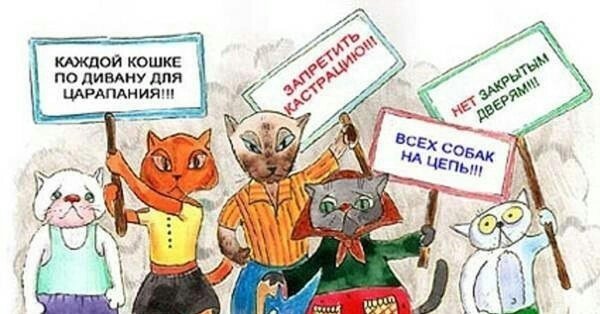 День кошек