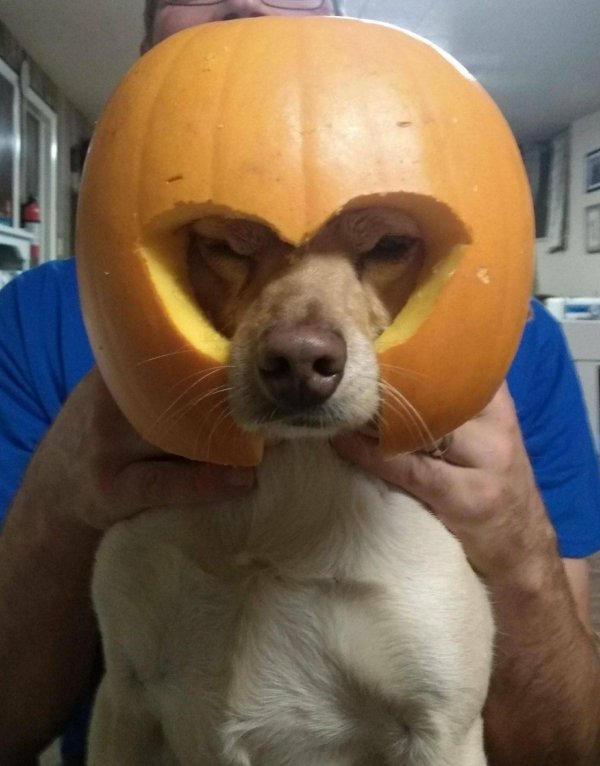 Разные