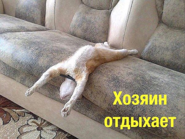 Я дома