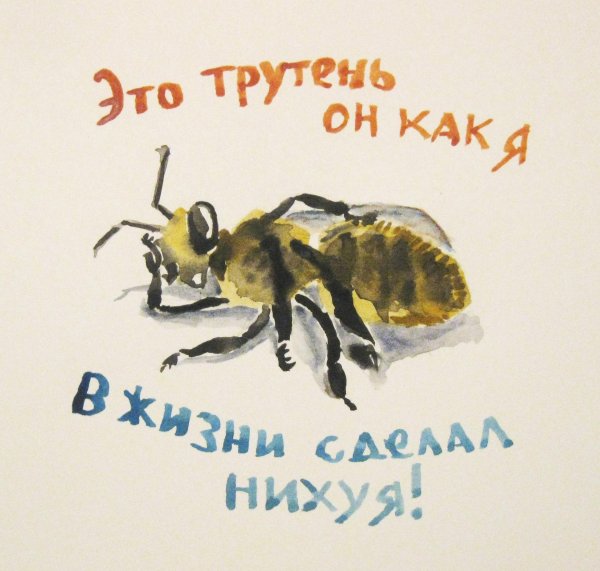 шмель трутень