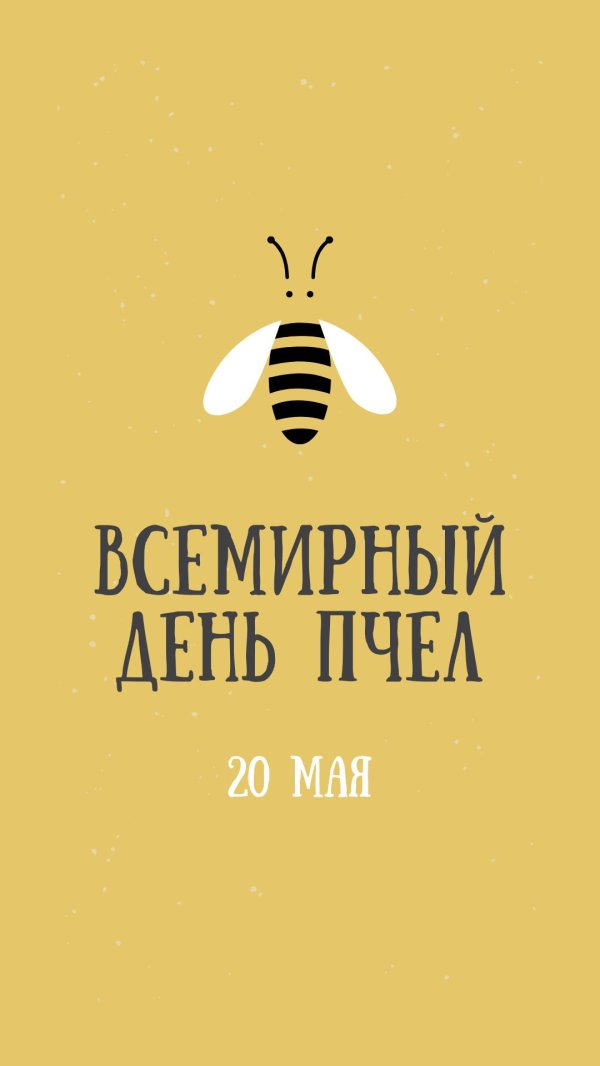 всемирный день пчел