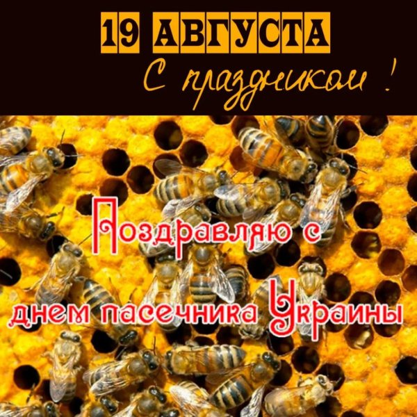 с днем пчеловода