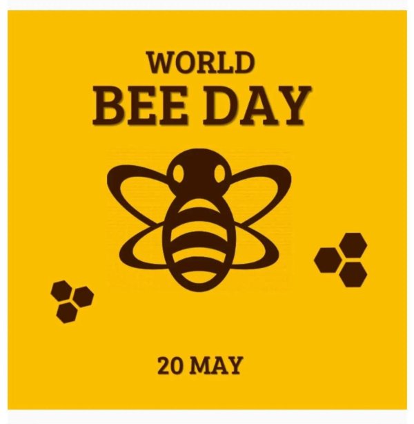 bee world