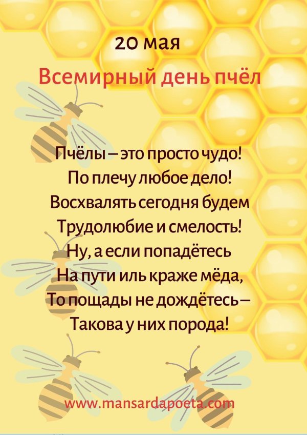 всемирный день пчел