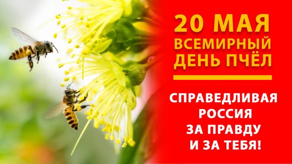 день пчел