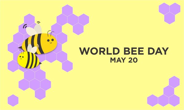 bee world