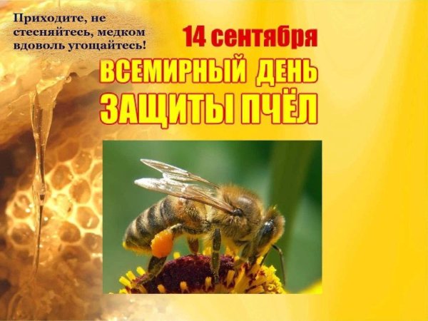 всемирный день пчел