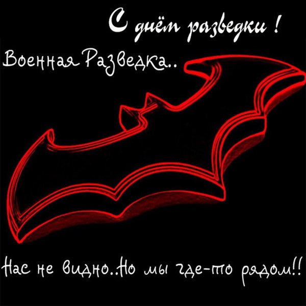 летучая мышь разведка