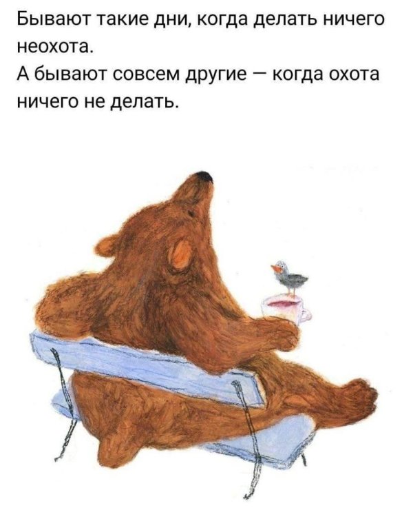 медведь иллюстрация