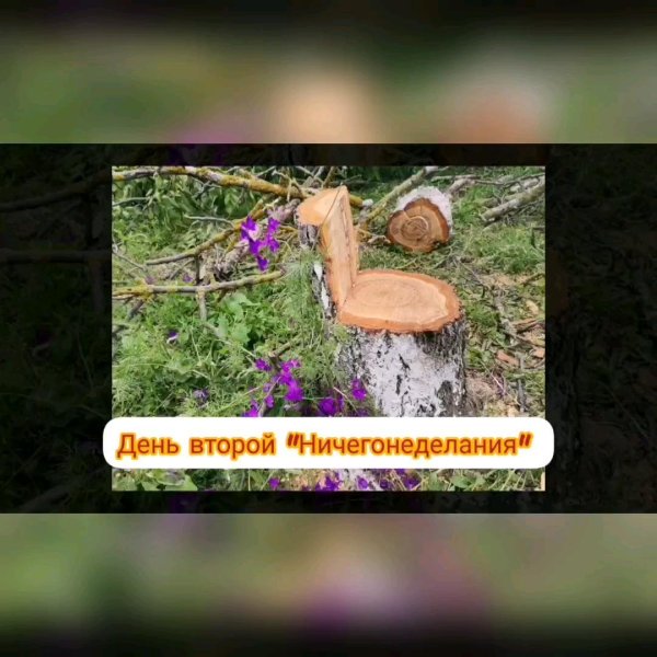 19 сентября день