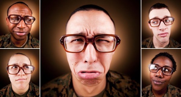 забавные факты