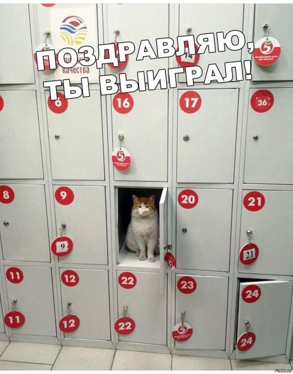 камера хранения