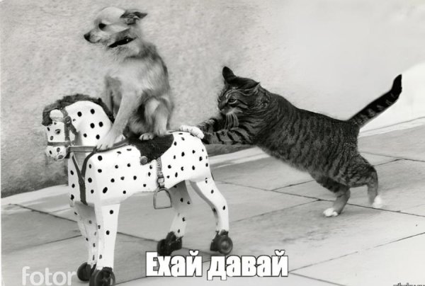 катись к ухям
