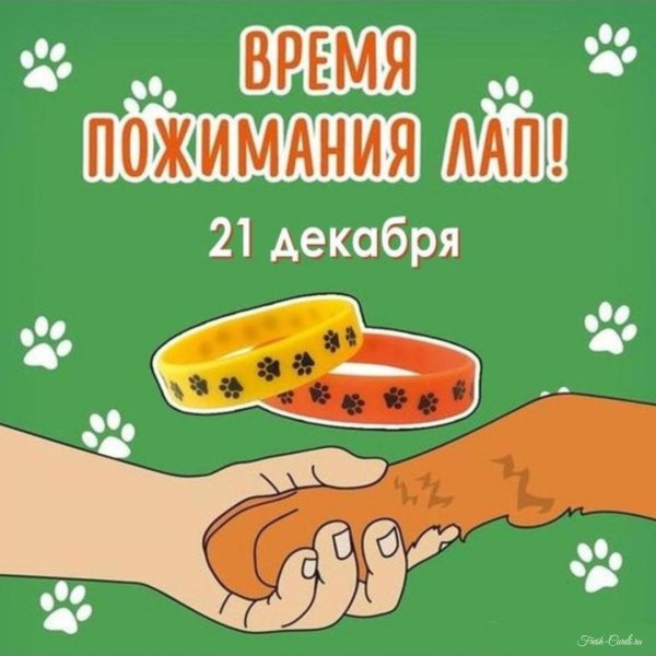 силиконовые браслеты