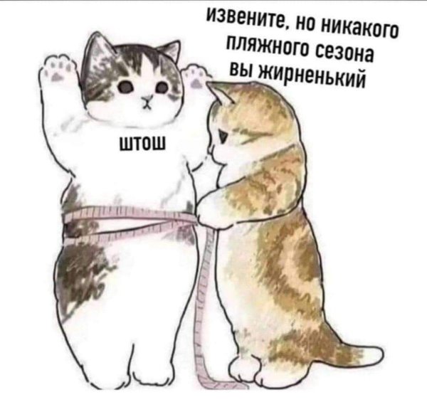 милые котики рисунки