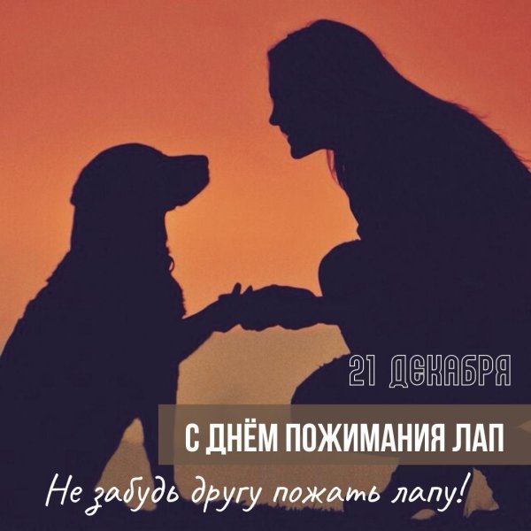 день пожимания лап