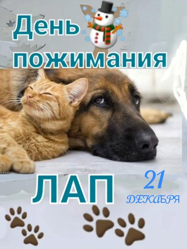 день пожимания лап