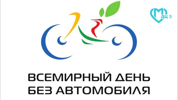 день без автомобиля 2024