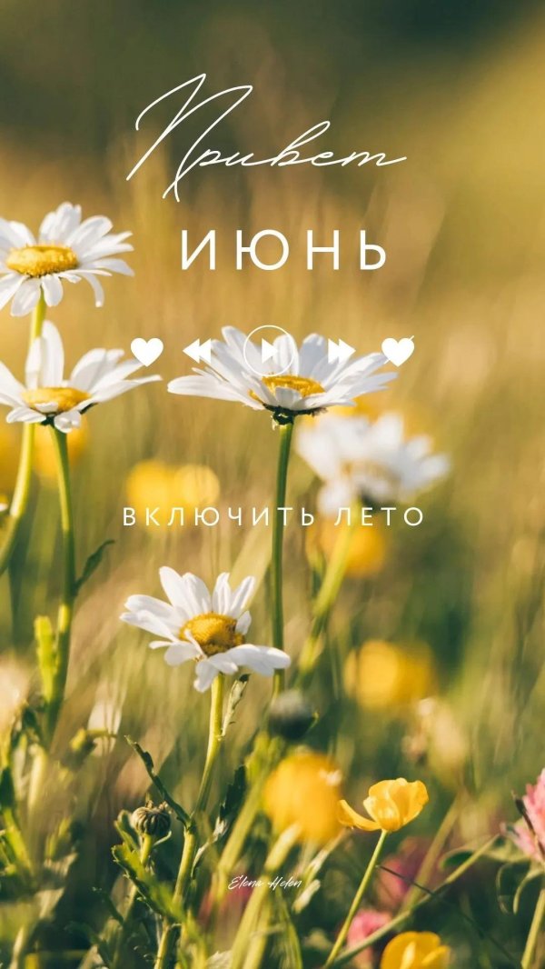 летний день