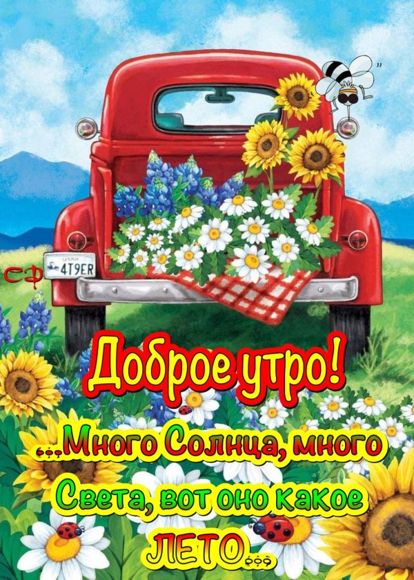 лето доброе утро