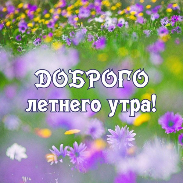 добрейшего летнего утра