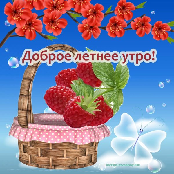 летнего доброго утра