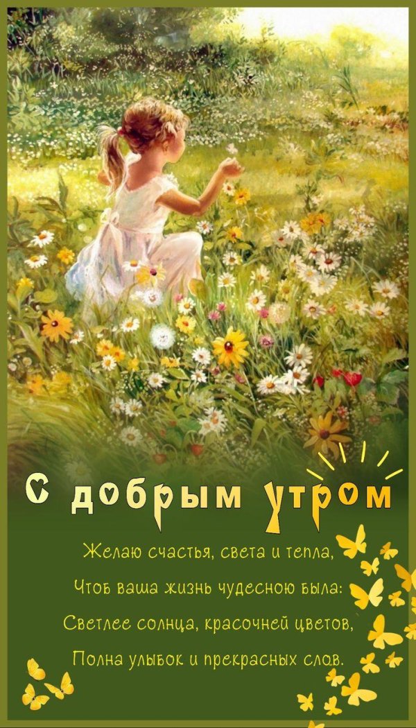 летнее утро доброе