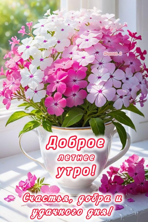добра утра
